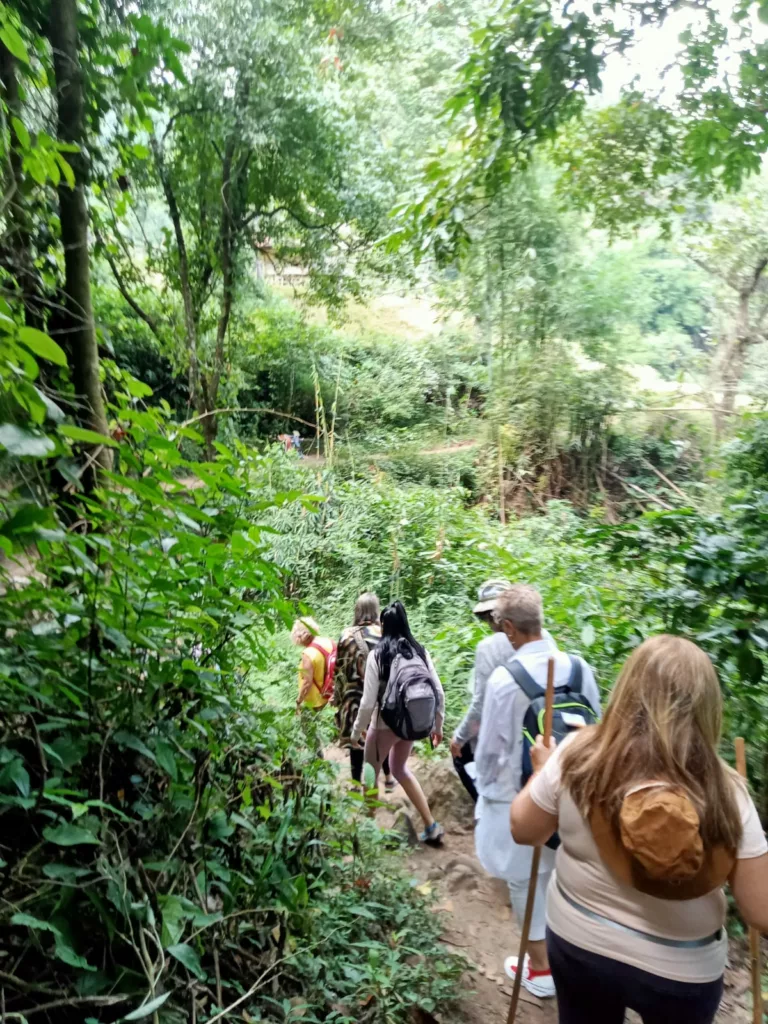טיול בצ'אנג מאי, צפון תאילנד - ציפי בן צבי